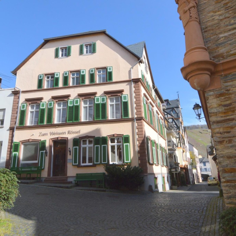 Sommerhus - 18 personer -  - 54539 - Ürzig