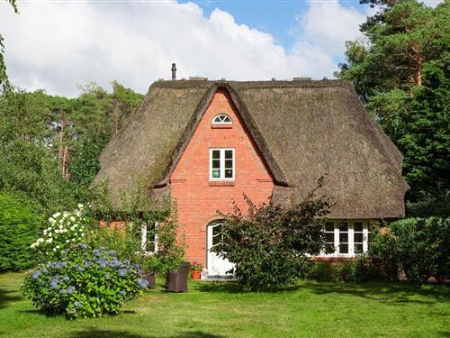 Semesterhus/Semesterlägenhet - 6 personer -  - Tanenwai - 25946 - Nebel