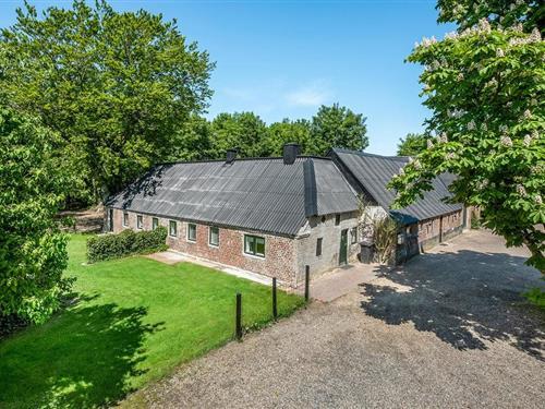 Ferienhaus - 12 Personen -  - Feldbækvej 1, lejl. - 6971 - Spjald
