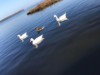 Bilde 3
