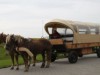 Bild 48