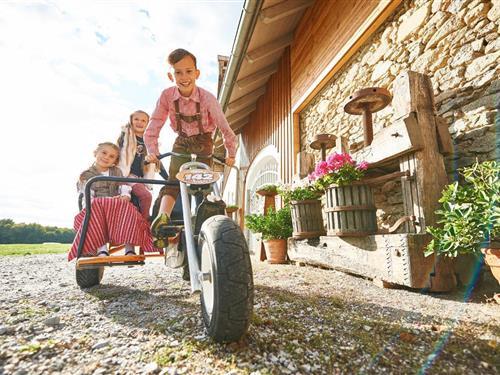 Ferienhaus - 5 Personen -  - Ilgering - 94508 - Schöllnach