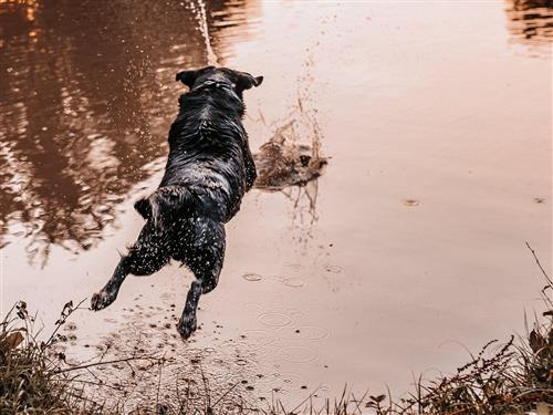 Ferielejlighed - 6 personer -  - OT Steinbächlein - 91578 - Leutershausen