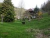 Bilde 2