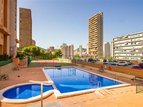 Holiday apartment - 4 persons -  - Calle Asturias - 03502 - Benidorm