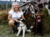 Bild 41