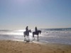 Billede 38