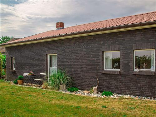 Sommerhus - 6 personer -  - Neuhöfer Straße - 18317 - Saal Ot Bartelshagen Ii