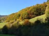Bild 63