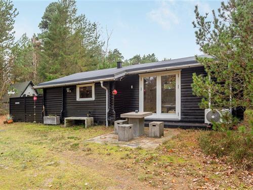 Feriehus - 4 personer -  - Sydvestvej - Bisnap - 9370 - Hals