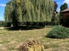 Image 15