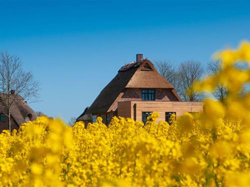 Semesterhus/Semesterlägenhet - 8 personer -  - Sandkoppel - 24395 - Nieby