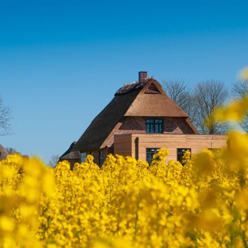 Sommerhus - 8 personer -  - Sandkoppel - 24395 - Nieby