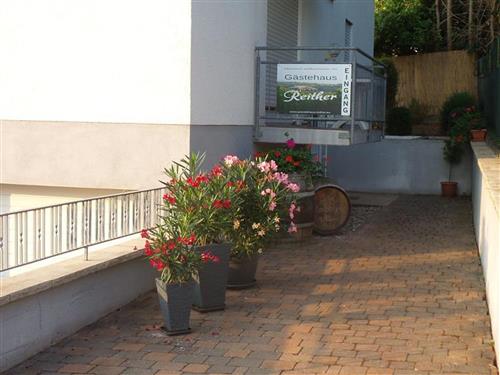 Ferieleilighet - 2 personer -  - Friedhofstraße - 76889 - Schweigen-Rechtenbach