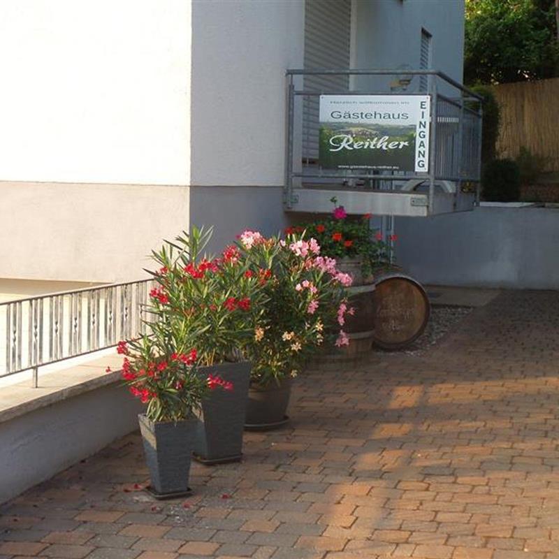 Ferielejlighed - 2 personer -  - Friedhofstraße - 76889 - Schweigen-Rechtenbach