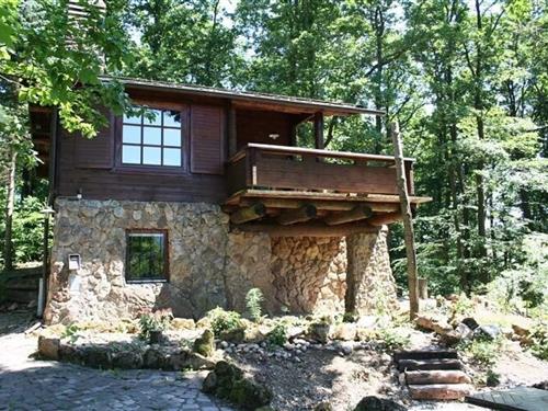 Sommerhus - 6 personer -  - 34519 - Diemelsee