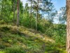 Bilde 31 - Ude