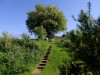 Billede 5 - Aktivitet