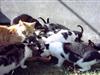Bild 16