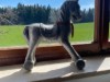 Bild 19
