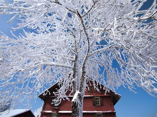 Holiday home - 2 persons -  - 3716 - Kandergrund