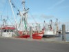 Billede 6
