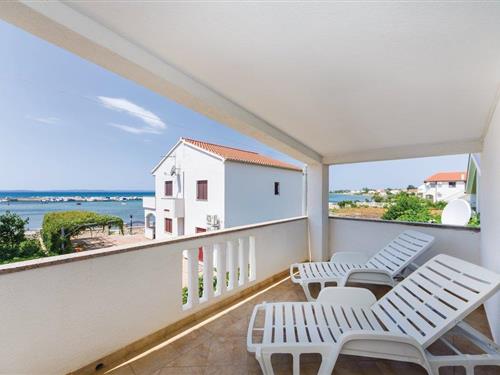 Holiday home - 10 persons -  - Put Bilotinjaka - Nin-Privlaka - 23233 - Privlaka