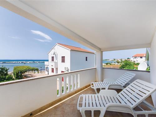 Fritidshus - 10 personer -  - Put Bilotinjaka - Nin-Privlaka - 23233 - Privlaka