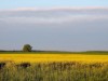 Image 16