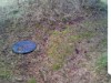Bild 16