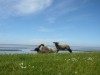 Bild 16