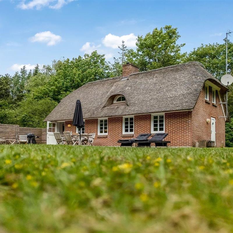 Sommerhus - 6 personer -  - Bækbyvej - Vester Husby - 6990 - Ulfborg