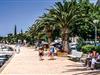 Billede 11