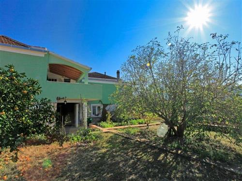 Holiday home - 5 persons -  - Ulica - 20270 - Vela Luka