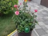Bild 13 - Ude