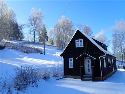 Feriehus / leilighet - 4 personer -  - Gösselberg - 08248 - Klingenthal