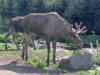 Bild 44 - Ude