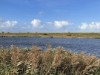 Billede 39