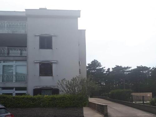 Holiday apartment - 5 persons -  - 51264 - Jadranovo