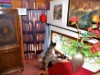 Bild 12
