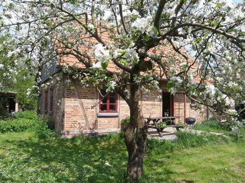 Holiday home - 5 persons -  - Kastanienallee - 17194 - Tressow