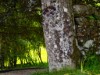 Bild 79 - Aussen