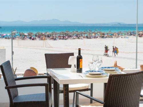 Feriehus / leilighet - 4 personer -  - 07400 - Alcudia