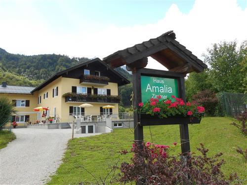 Ferielejlighed - 2 personer -  - Enterbachstraße - 5350 - Strobl