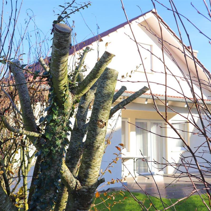 Sommerhus - 4 personer -  - Kormoranweg - 27639 - Wurster Nordseeküste