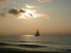 Billede 29