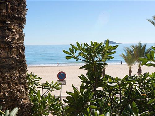 Ferienhaus - 6 Personen -  - Av. Vicente Llorca Alós - 03502 - Benidorm