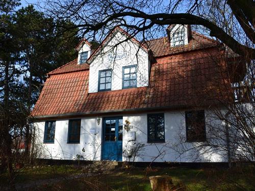 Holiday Home/Apartment - 2 persons -  - Siedlung - 18565 - Hiddensee / Kloster