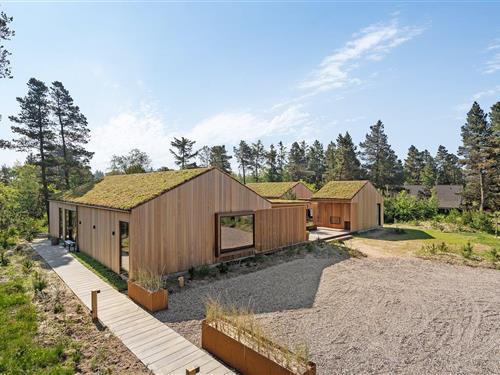 Sommerhus - 12 personer -  - Bergsvej - 6857 - Blåvand