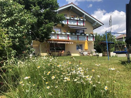 Ferielejlighed - 4 personer -  - Kapfstraße - 87538 - Fischen